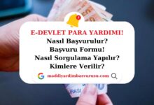 E-Devlet Para Yardımı! E-Devlet Para Yardımı Sorgulama