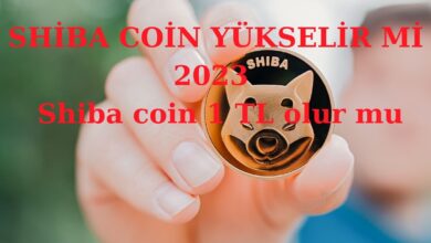 SHİBA COİN YÜKSELİR Mİ 2023 Shiba coin 1 TL olur mu